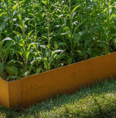Corten Steel Planter-799