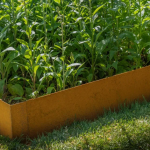 Corten Steel Planter-thumbnail-799