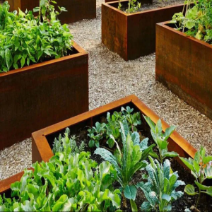 Conten material Planter