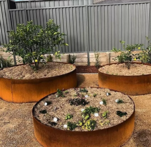 The planter made from corten steel A588 Grade B