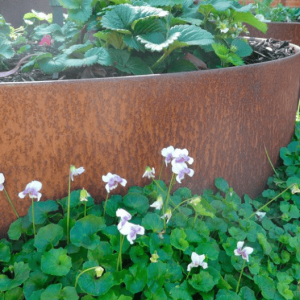corten steel edging